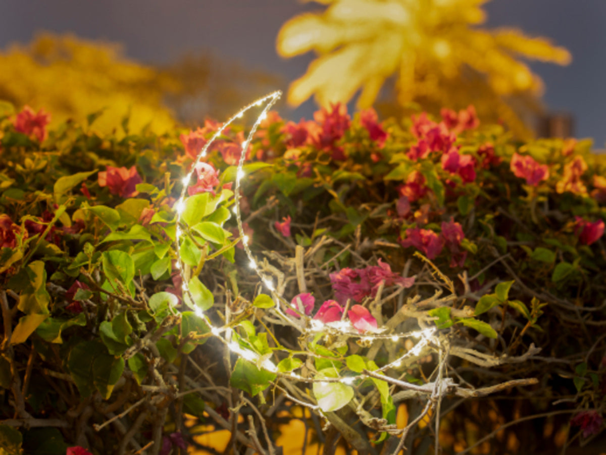 Light Decoration - Crescent