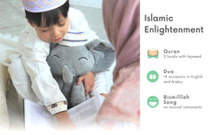 Little Mahmud, The Talking Quran Elephant