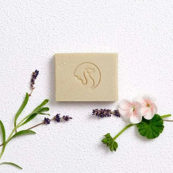 
                      
                        Camel Milk Soap - Lavender & Rose Geraniu
                      
                    