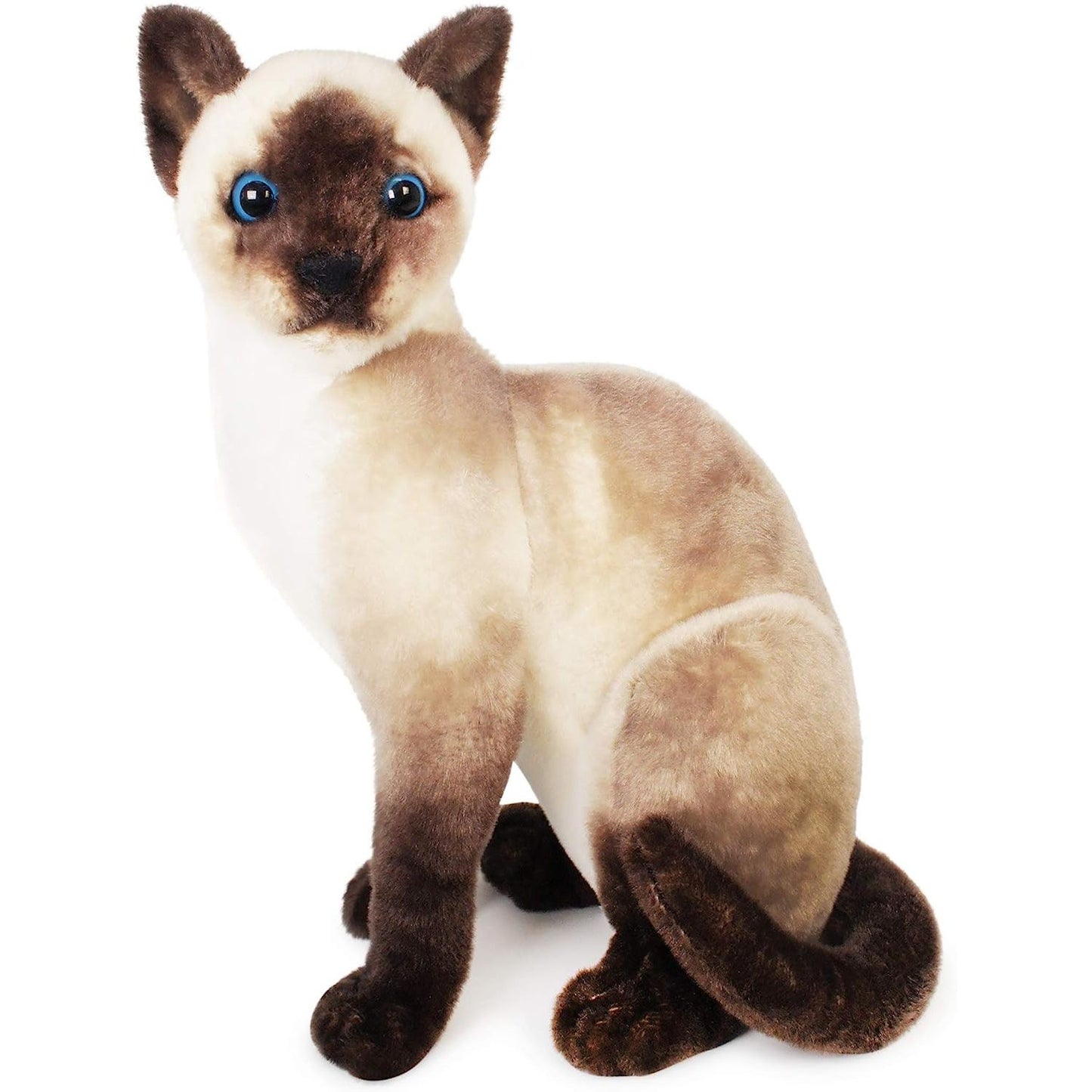 Stefan The Siamese Cat