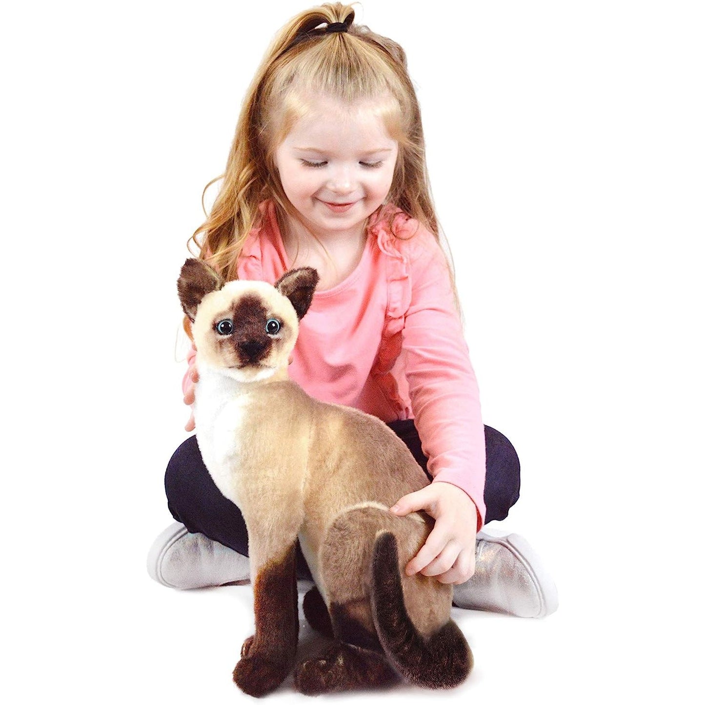 Stefan The Siamese Cat