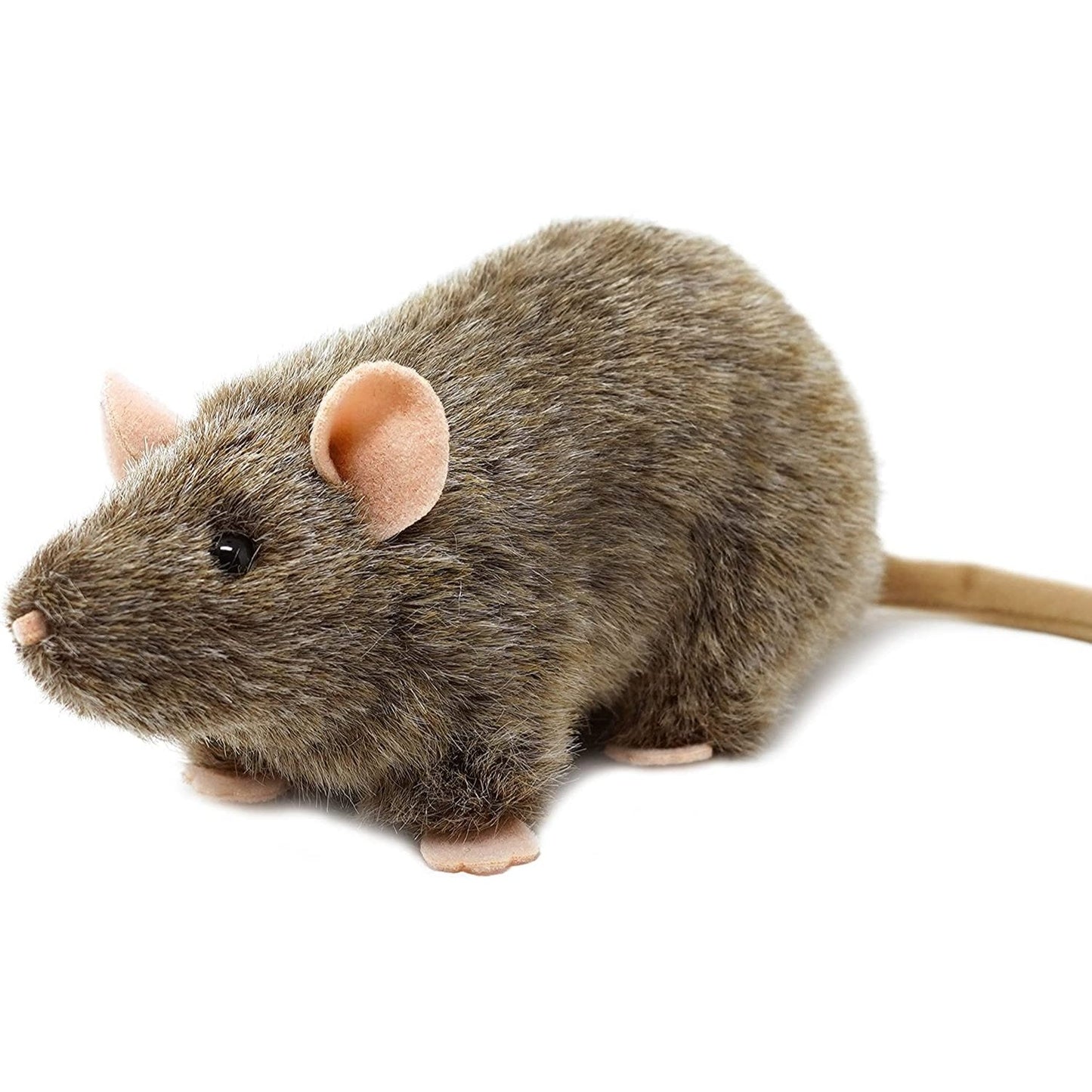 Reuben the Rat - Neo Essentials Store